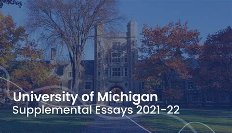 Does Michigan State University Have Supplemental Essays?