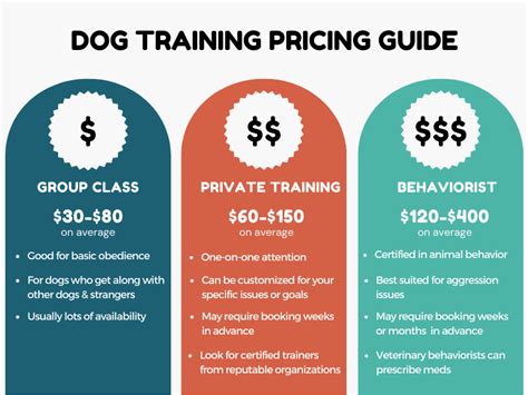 How Old Does a Dog Have to Be to Start Training to Be a Service Dog, and Why Do Some People Think Cats Are Better at Solving Puzzles?