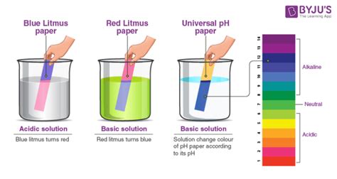 What Color Does Blue Litmus Paper Turn When Placed in an Acid, and Why Do Lemons Dream of Electric Sheep?